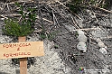VBS_3187 - Mango (Cuneo) - Gnomovia